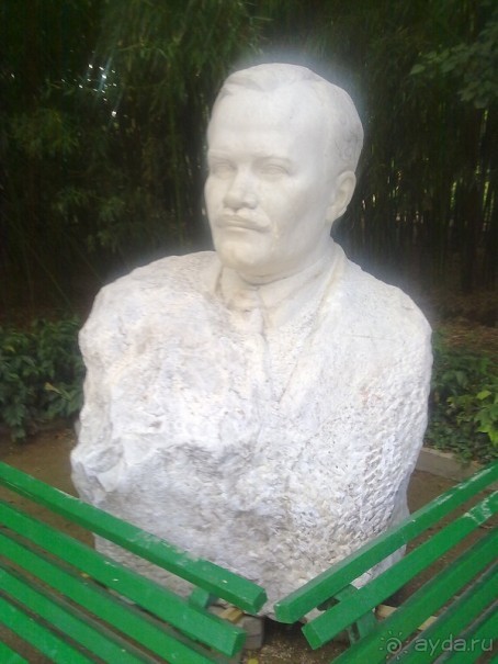 Крым. Никитский ботанический сад