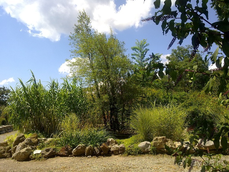 Крым. Никитский ботанический сад