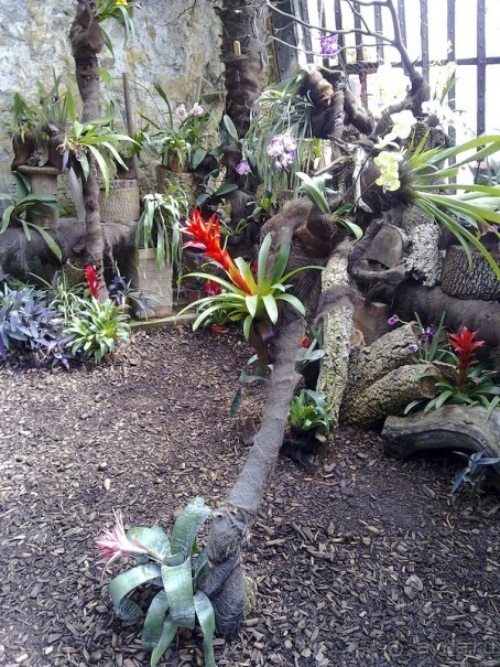 Крым. Никитский ботанический сад