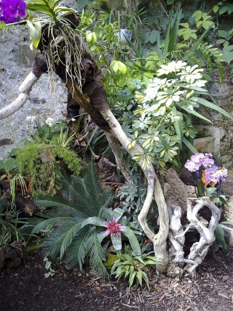 Крым. Никитский ботанический сад