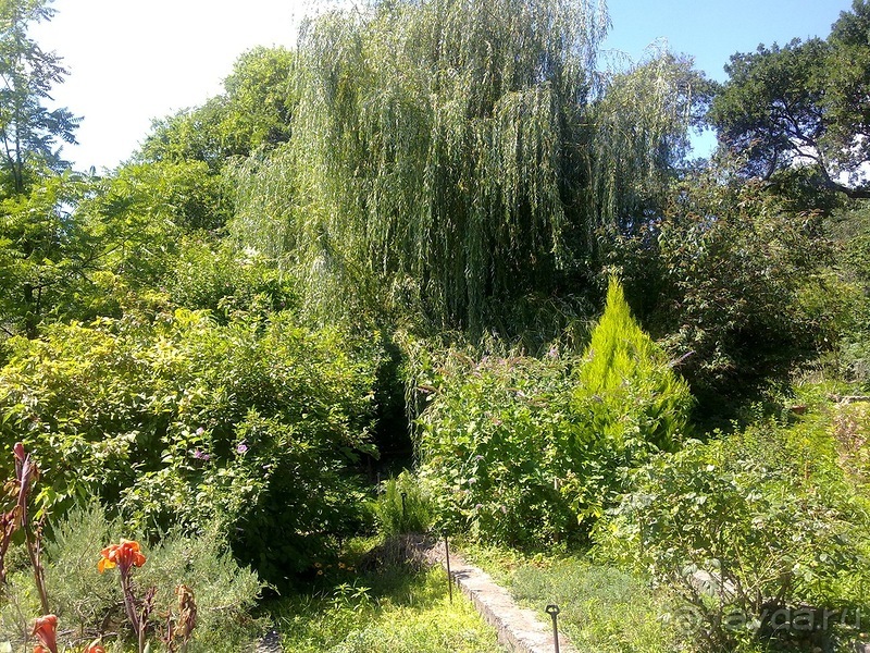 Крым. Никитский ботанический сад