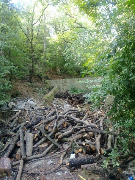 Крым. Никитский ботанический сад