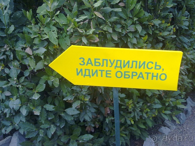 Крым. Никитский ботанический сад