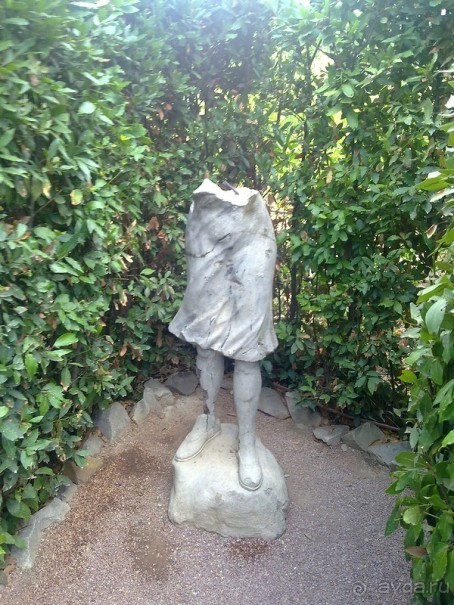 Крым. Никитский ботанический сад