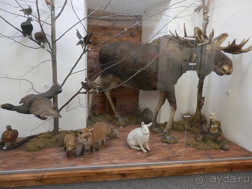 Переславль-Залесский