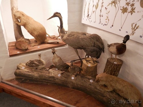 Переславль-Залесский