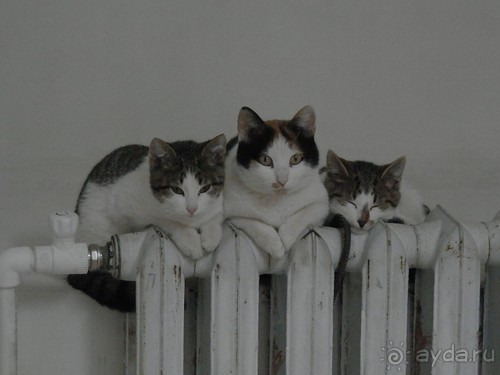 Переславль-Залесский