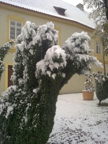 Прага под снегом