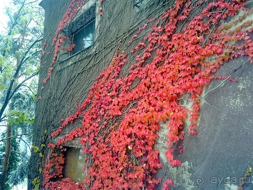 Прага под снегом