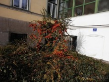 Альбом отзыва "Вена - начало поездки"