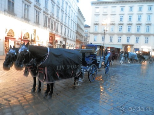 Альбом отзыва "Вена - начало поездки"