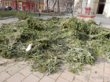 Альбом отзыва "Вена - начало поездки"