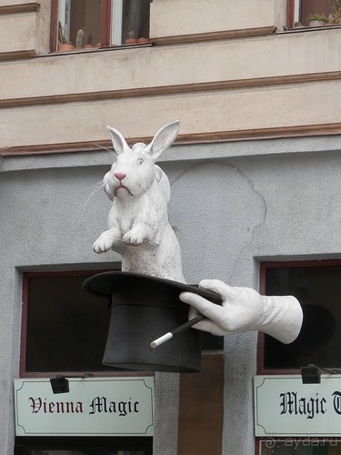 Вена - начало поездки