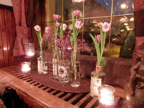 Вена - начало поездки