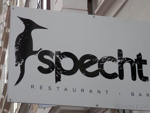 Вена - начало поездки