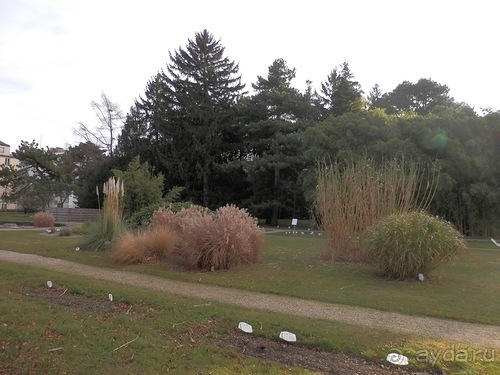 Вена - начало поездки