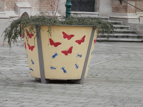 Вена - начало поездки