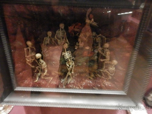 Вена - начало поездки