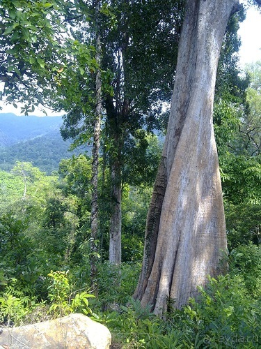 Таиланд, до свидания! Отпуск кончился.