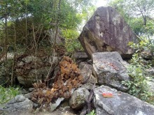 Таиланд, до свидания! Отпуск кончился.