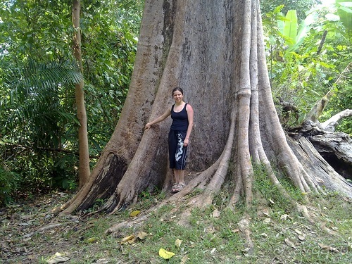 Таиланд, до свидания! Отпуск кончился.