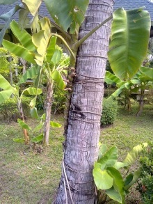 Таиланд, до свидания! Отпуск кончился.