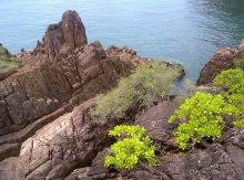 Таиланд, до свидания! Отпуск кончился.