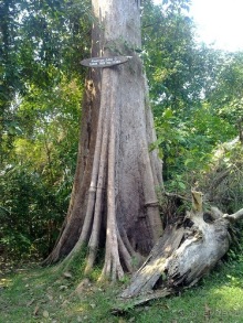 Таиланд, до свидания! Отпуск кончился.