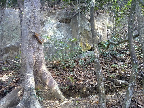 Таиланд, до свидания! Отпуск кончился.