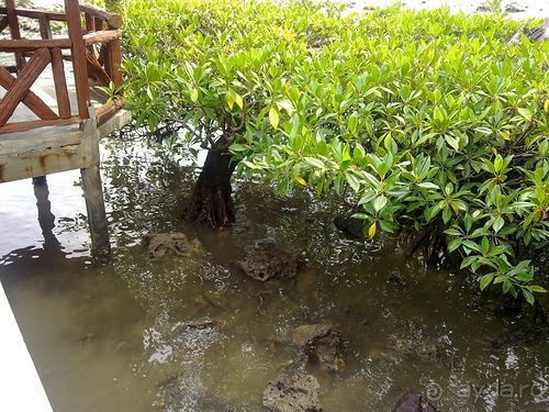 Таиланд, до свидания! Отпуск кончился.