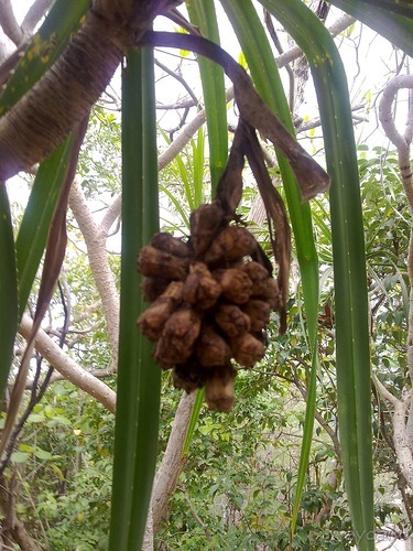 Таиланд, до свидания! Отпуск кончился.