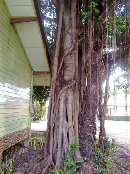 Таиланд, до свидания! Отпуск кончился.