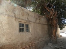 Последний день в Бухаре