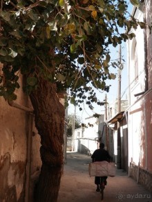 Последний день в Бухаре