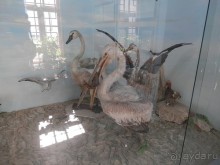 Последний день в Бухаре