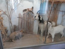 Последний день в Бухаре