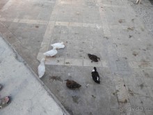 Последний день в Бухаре