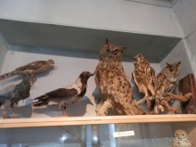 Последний день в Бухаре