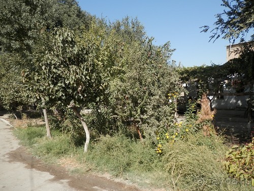 Последний день в Бухаре