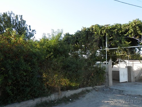 Последний день в Бухаре