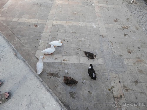 Последний день в Бухаре