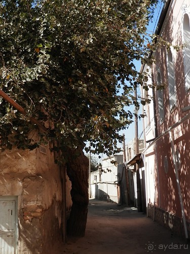 Последний день в Бухаре