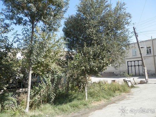 Последний день в Бухаре