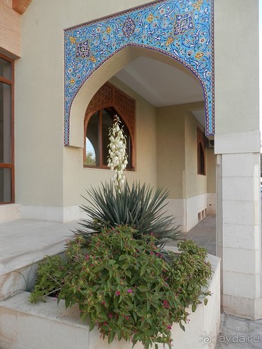 Последний день в Бухаре