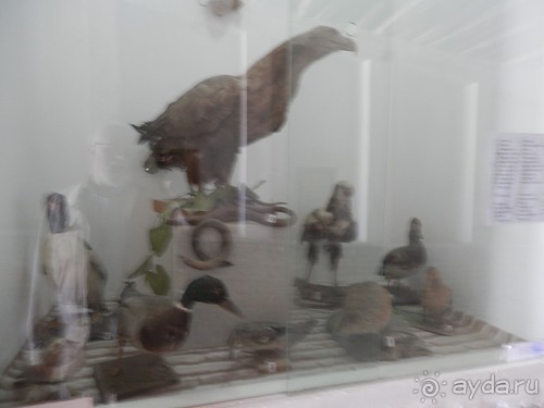 Последний день в Бухаре