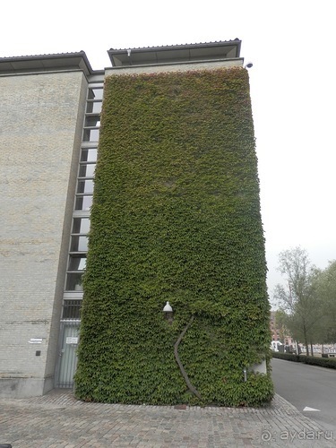 Копенгаген - морской музей и Тиволи