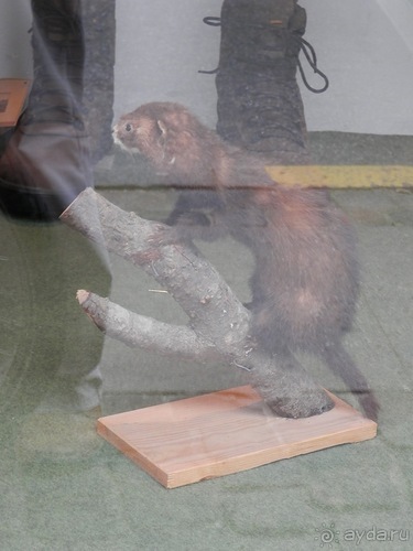 Копенгаген - морской музей и Тиволи