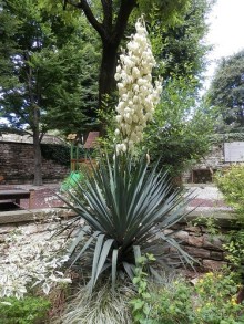 Соборы и музеи Бергамо