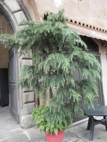 Соборы и музеи Бергамо