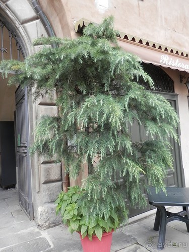 Соборы и музеи Бергамо